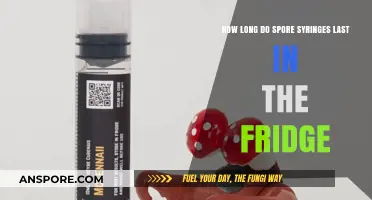 Spore Syringe Shelf Life: Fridge Storage Duration Explained