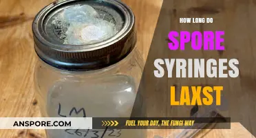 Understanding the Shelf Life of Spore Syringes: Duration and Storage Tips