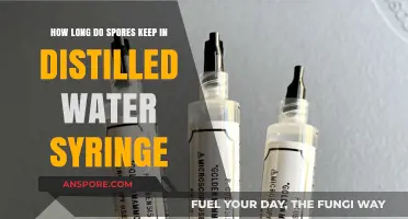 How Long Do Spores Remain Viable in Distilled Water Syringes?