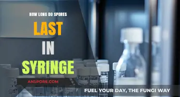Understanding the Lifespan of Spores in Syringes: A Comprehensive Guide