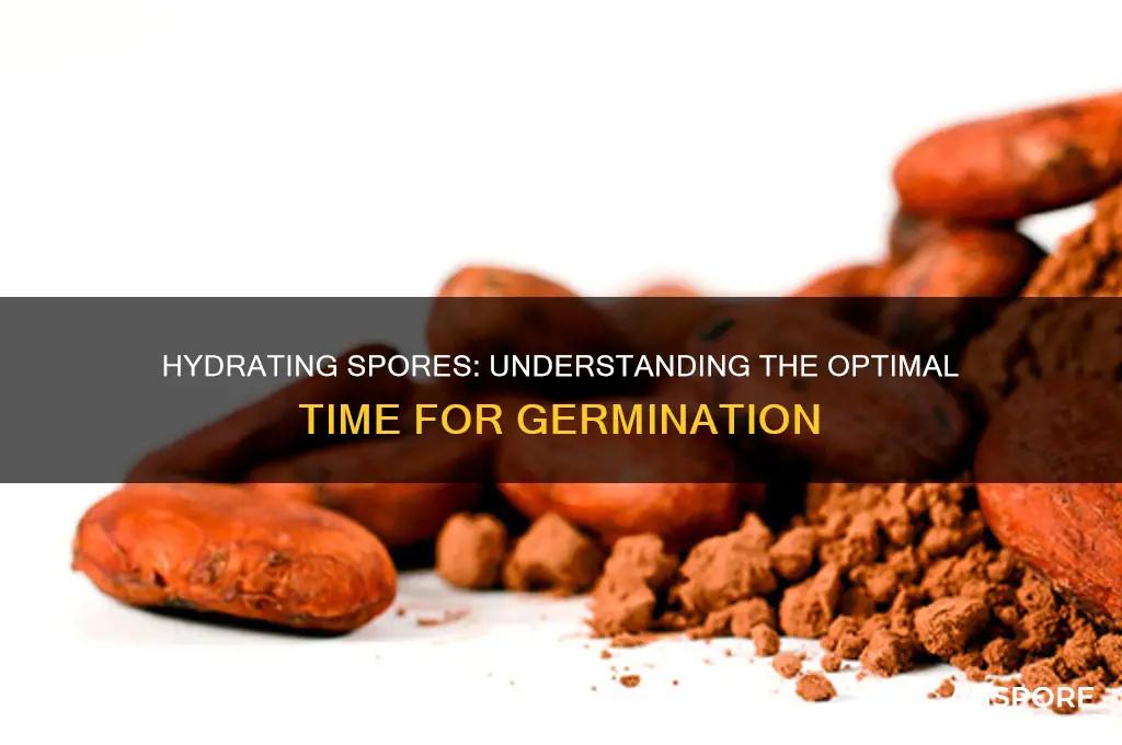 how long do spores need to hydrate
