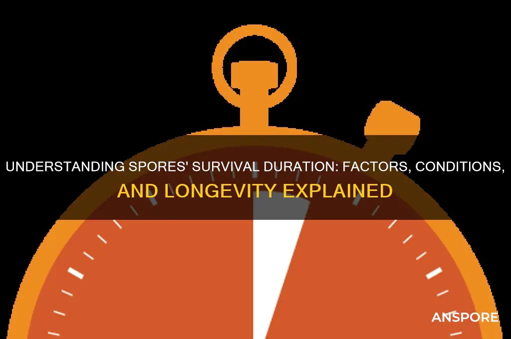 how long do spores survive