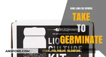 Understanding the Germination Timeline of Spores: Factors and Duration