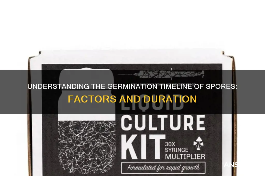 how long do spores take to germinate