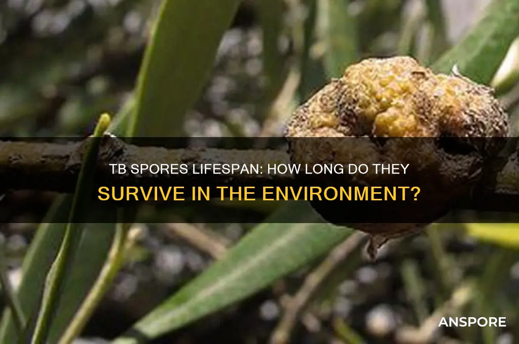 how long do tb spores live