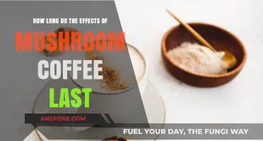 Mushroom Coffee Effects: Duration and Impact on Energy and Focus