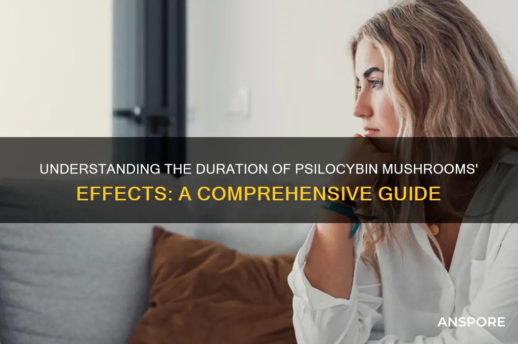 how long do the effects of psylocibin mushrooms last