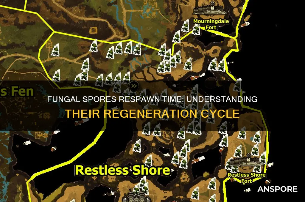 how long do the fungul spores take to respawn