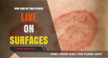 Tinea Spores Survival: How Long Do They Live on Surfaces?