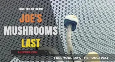 Trader Joe's Mushrooms Shelf Life: Freshness Duration and Storage Tips