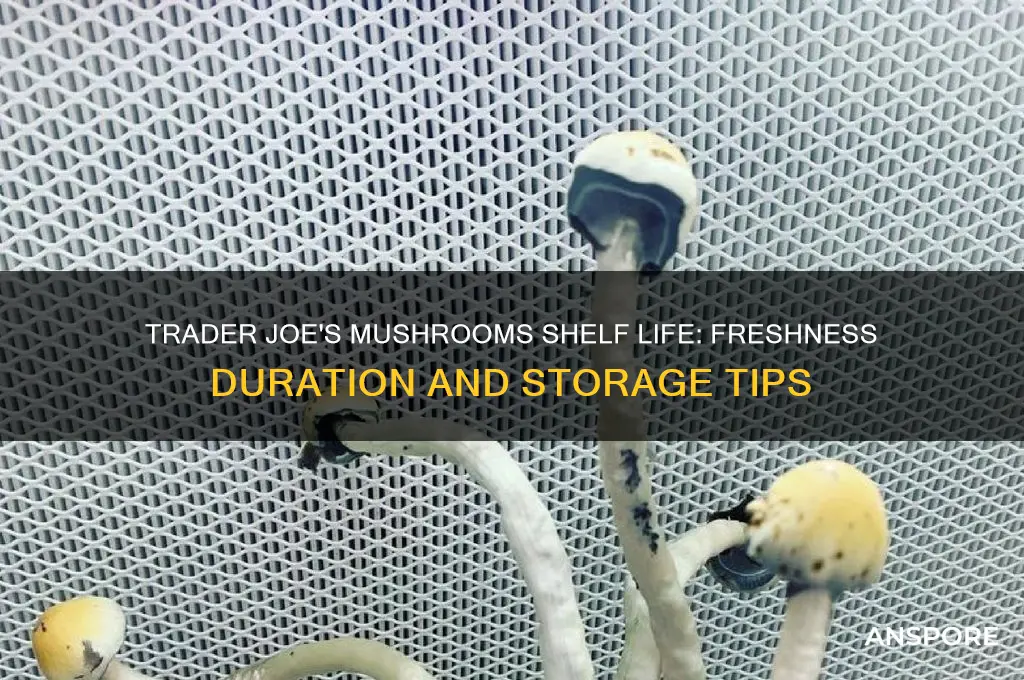 how long do trader joe