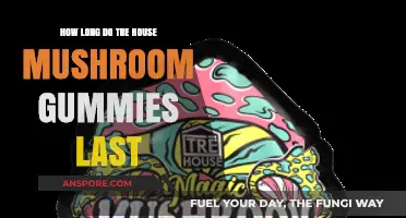 Tre House Mushroom Gummies Shelf Life: Duration and Freshness Guide