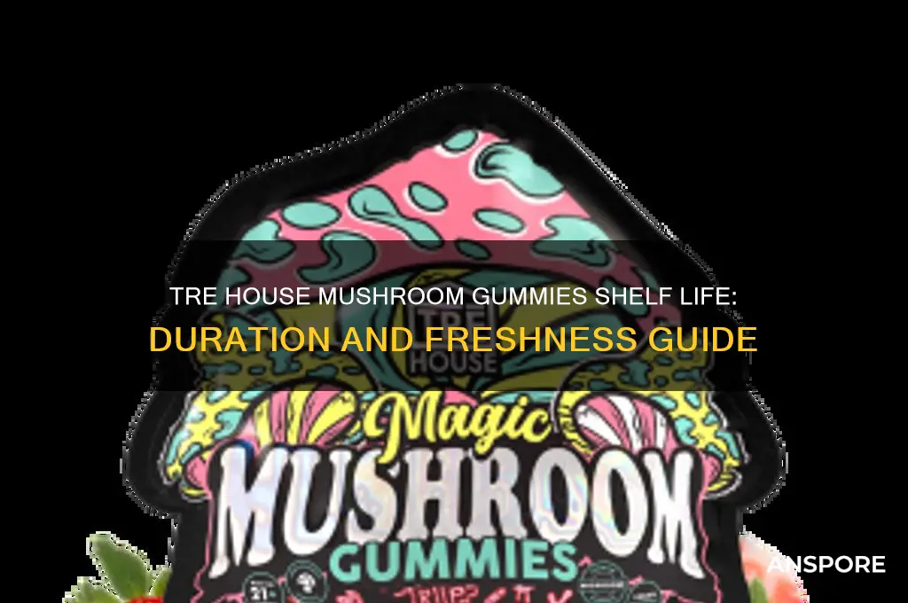 how long do tre house mushroom gummies last