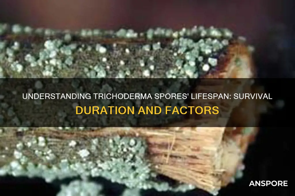 how long do trichoderma spores live