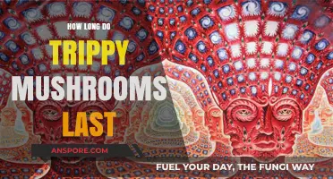 Trippy Mushrooms Duration: How Long Do Effects Typically Last?