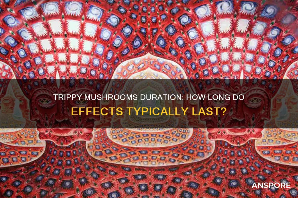 how long do trippy mushrooms last