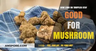 Shelf Life of Truffles: How Long Do These Mushrooms Stay Fresh?