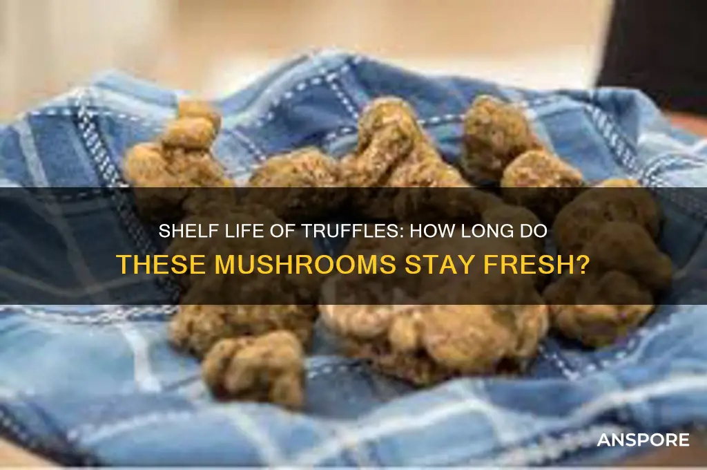 how long do truffles stay good for mushroom