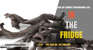 Trumpet Mushrooms Shelf Life: Fridge Storage Tips and Duration Guide