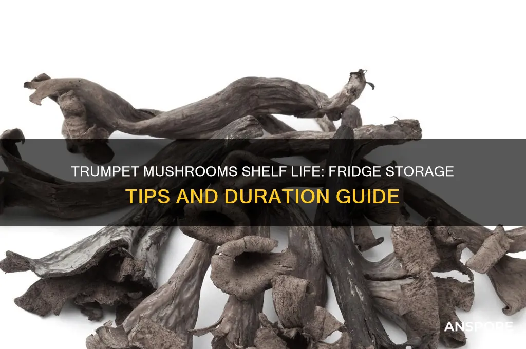 how long do trumpet mushrooms last in the fridge