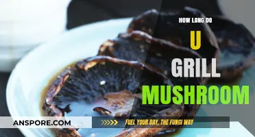 Perfectly Grilled Mushrooms: Timing Tips for Juicy, Flavorful Results