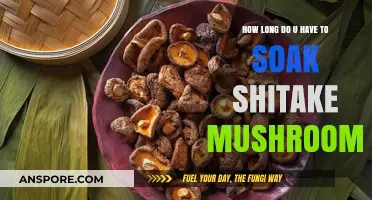 Perfect Shiitake Soak Time: How Long to Hydrate for Best Results