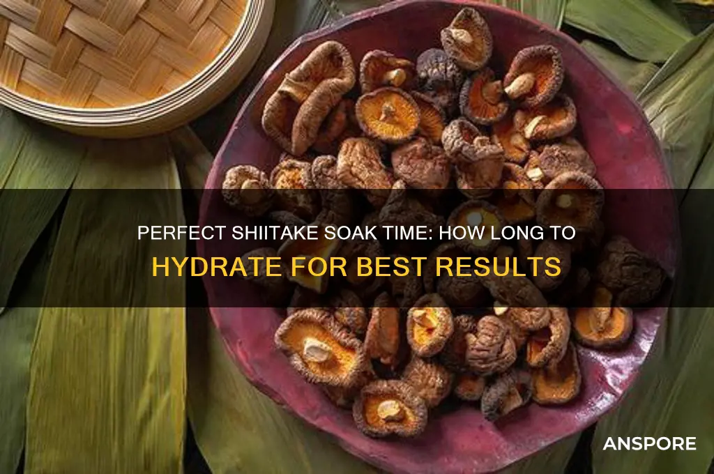 how long do u have to soak shitake mushrooms