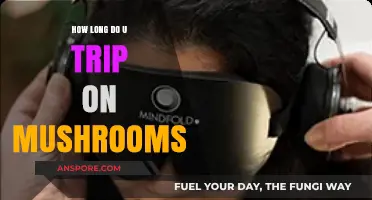 Exploring the Duration of a Mushroom Trip: What to Expect