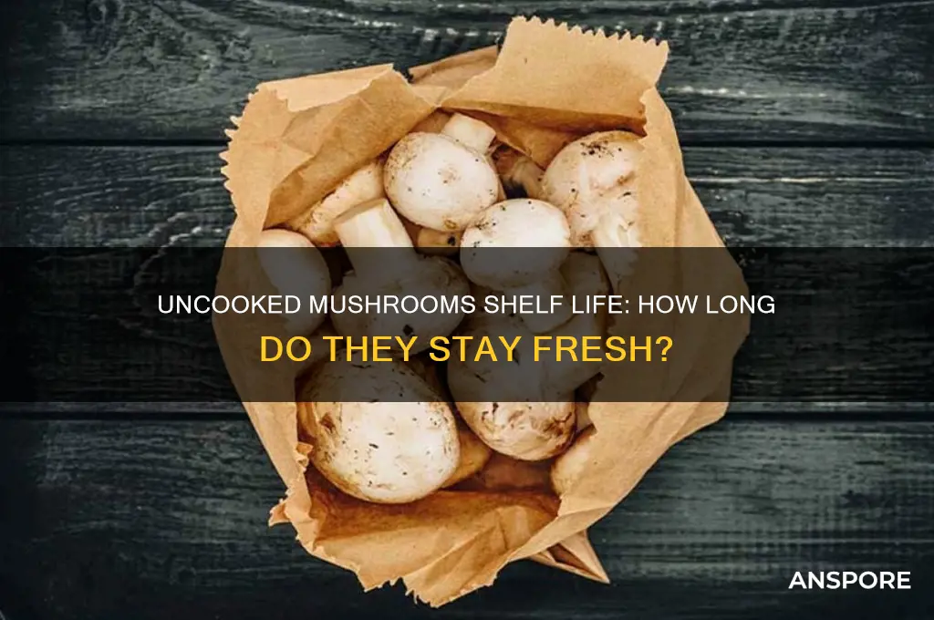 how long do uncooked mushrooms last