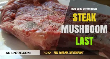 Uncooked Steak Mushrooms Shelf Life: Storage Tips and Freshness Guide