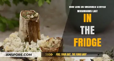 Uncooked Stuffed Mushrooms: Fridge Storage Time and Freshness Tips