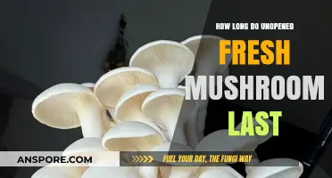 Unopened Fresh Mushrooms: Shelf Life and Storage Tips Revealed