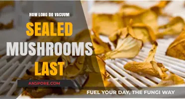 Vacuum Sealed Mushrooms: Shelf Life and Storage Tips Explained