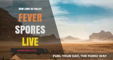 Understanding Valley Fever: Lifespan of Spores and Long-Term Risks