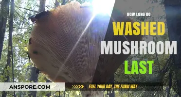 Washed Mushrooms Shelf Life: Tips for Freshness and Storage