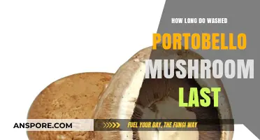 Washed Portobello Mushrooms: Shelf Life and Storage Tips