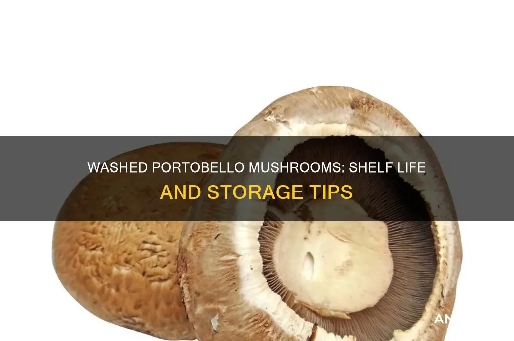 how long do washed portobello mushrooms last