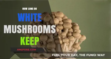 White Mushrooms Shelf Life: Storage Tips for Freshness and Longevity