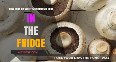 White Mushrooms Shelf Life: How Long Do They Last in the Fridge?