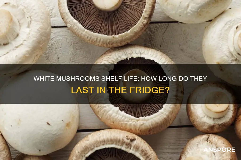 how long do white mushrooms last in the fridge