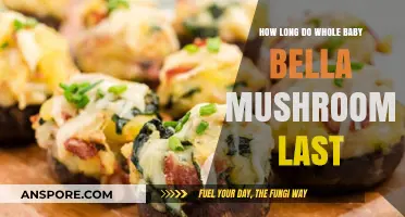 Baby Bella Mushrooms Shelf Life: Freshness Duration and Storage Tips
