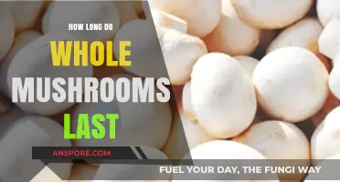 Whole Mushrooms Shelf Life: Storage Tips for Freshness and Longevity