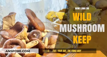 Wild Mushroom Storage: How Long Do They Stay Fresh?