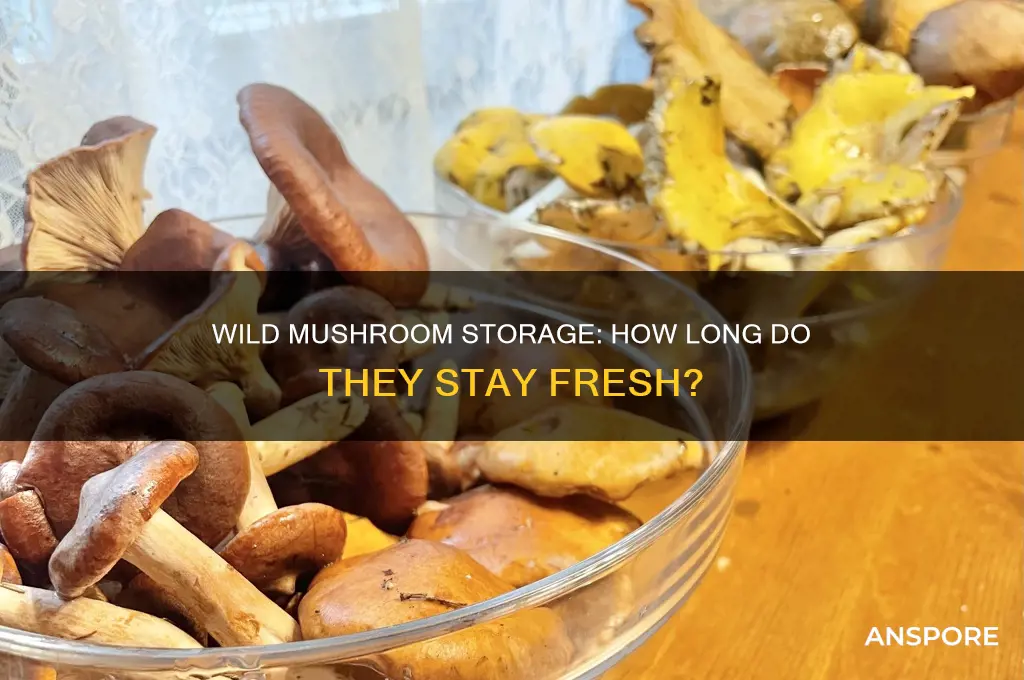 how long do wild mushrooms keep