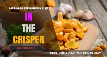 Wild Mushrooms in the Crisper: Shelf Life and Storage Tips