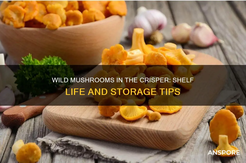how long do wild mushrooms last in the crisper