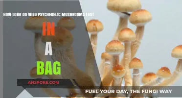 Wild Psychedelic Mushrooms: Shelf Life in a Bag Explained