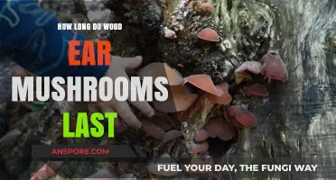 Wood Ear Mushrooms Shelf Life: Storage Tips for Freshness and Longevity
