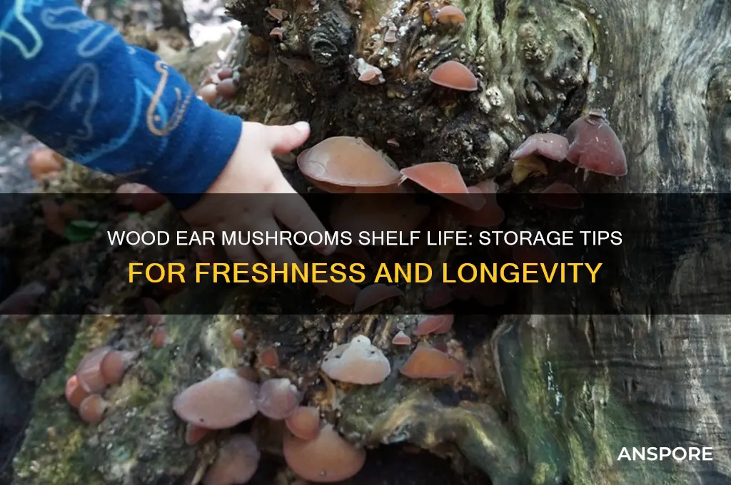 how long do wood ear mushrooms last