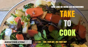 Quick Guide: Cooking Time for Wood Ear Mushrooms